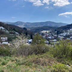 22-04-04 12-52-49 0372